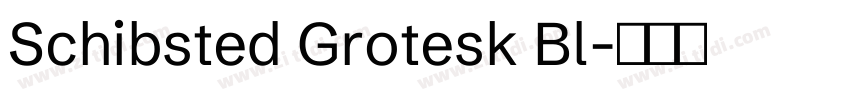 Schibsted Grotesk Bl字体转换